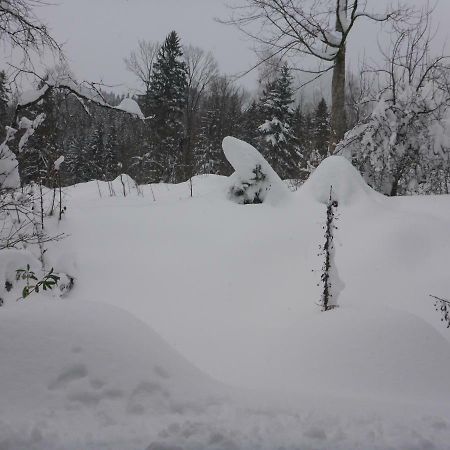 Pension Oberwirt Fischbachau Esterno foto